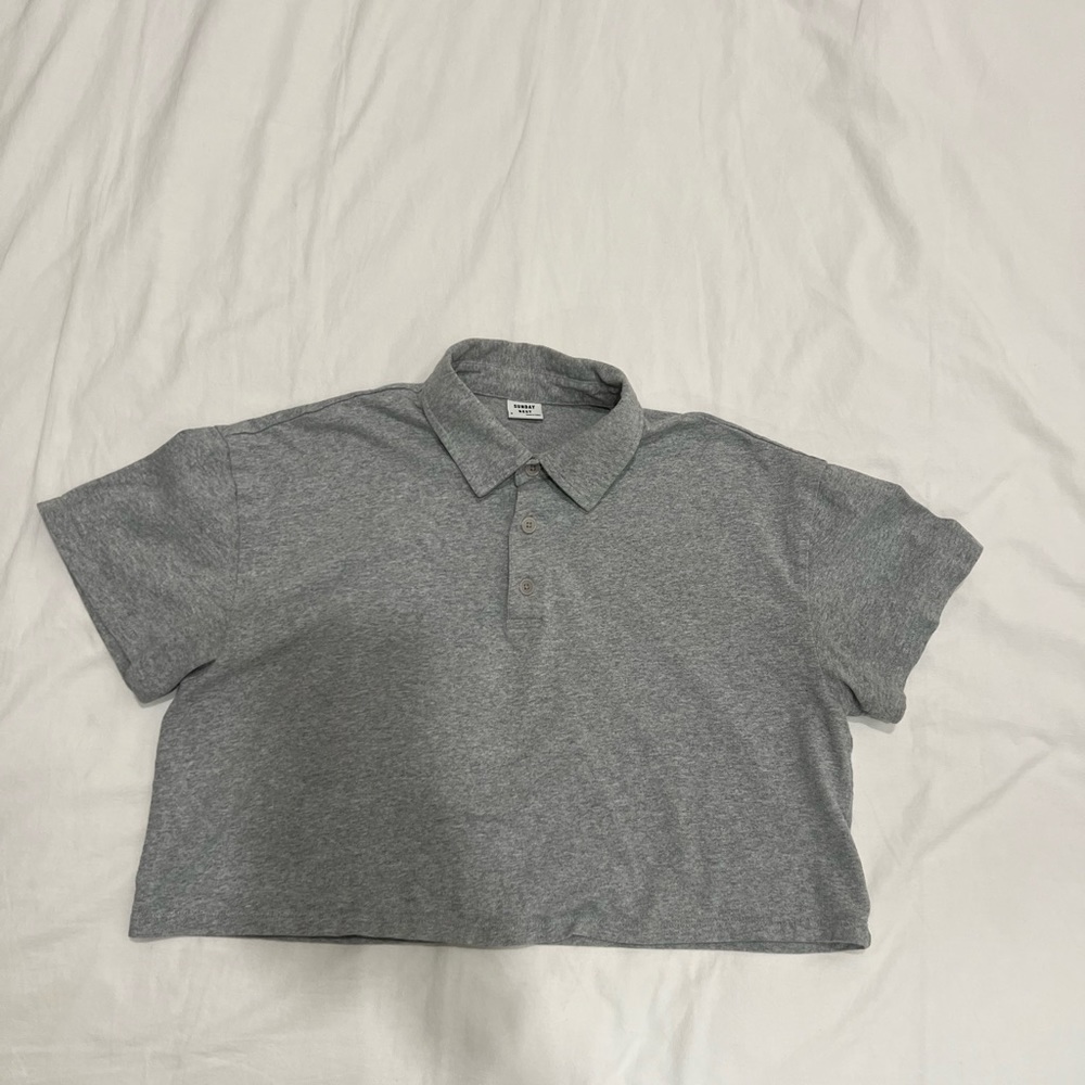 Aritzia Sunday Best Cropped Polo
